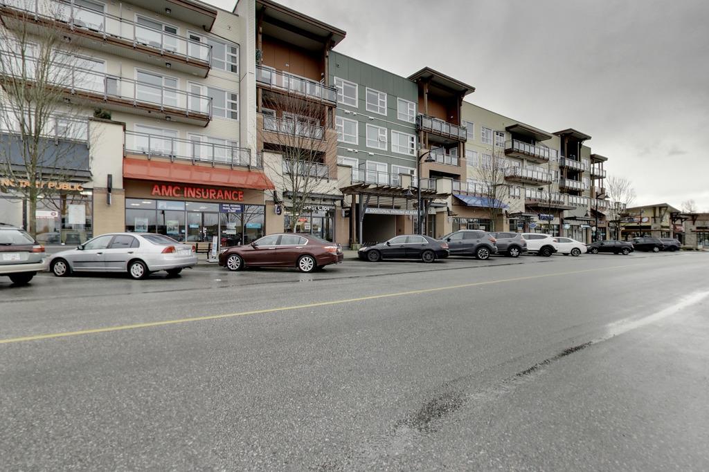 313 20728 Willoughby Town Centre, Langley, BC, V2Y 0P3 R2250682