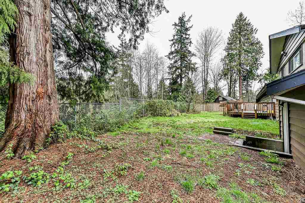 10944 McAdam Road, Delta, BC R2255764 Runesh Pillai