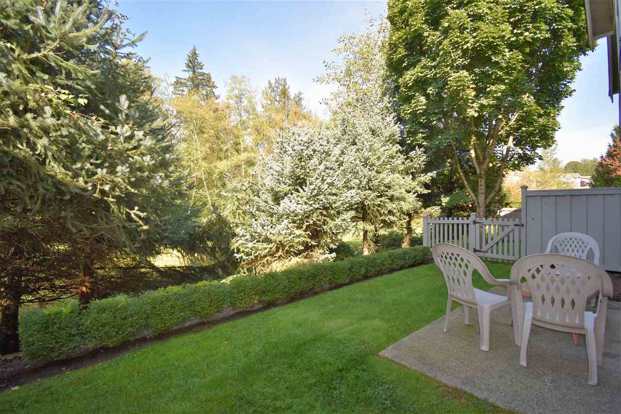 17 23343 Kanaka Way, Maple Ridge, BC, V2W 2B6 R2311042 Neufeld