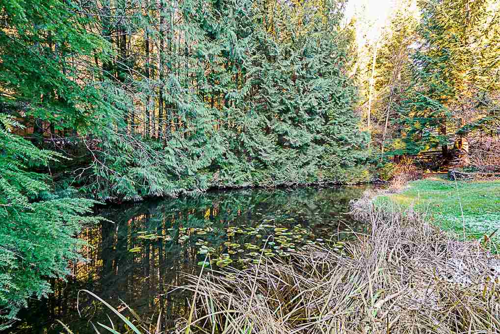 32910 Richards Avenue, Mission, BC, V2V 7E5 R2365164 Taylor McPherson