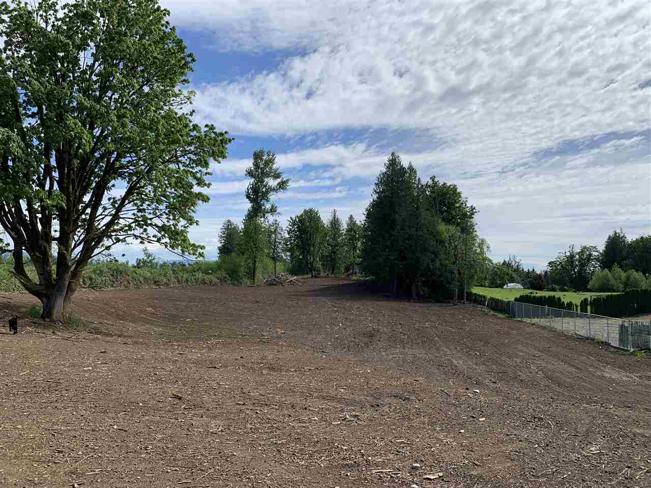 28982 Fraser Highway, Abbotsford, BC, V4X 1G8 R2371300 Mike Braun