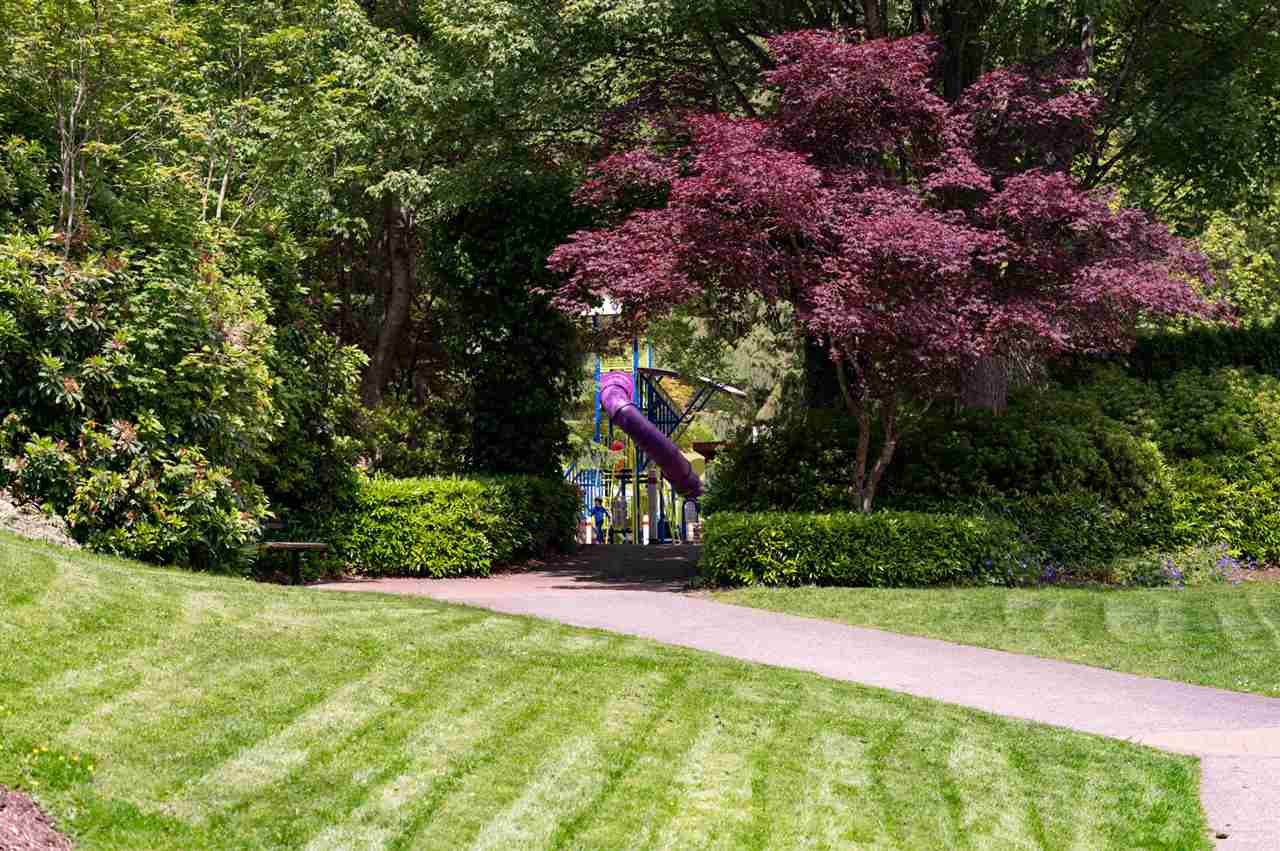  310 4323 Gallant Avenue, North Vancouver, BC R2377481 Ty Collyer Real Estate