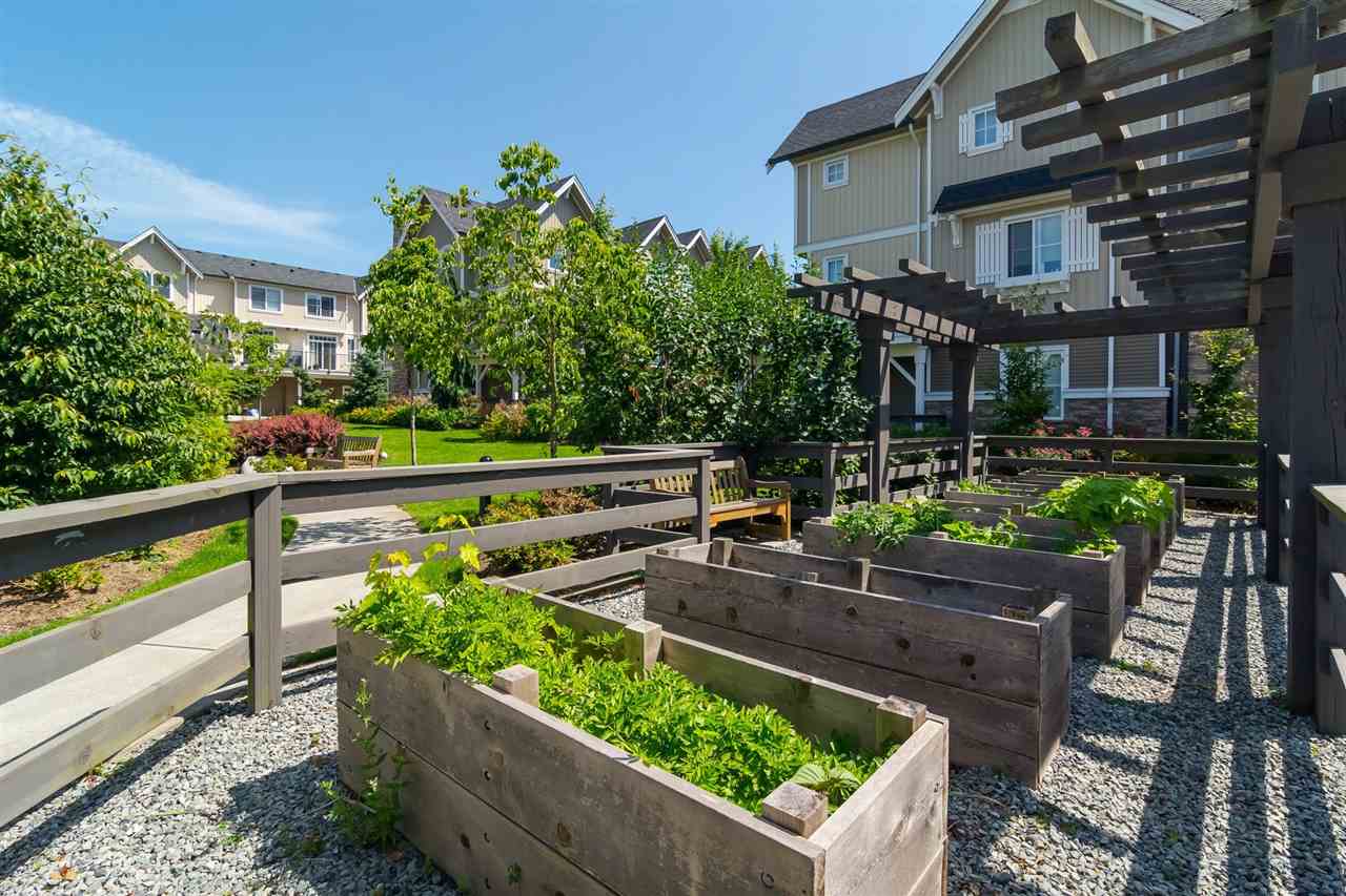 65, 31032 Westridge Place, Abbotsford, BC, V2T 0C6 R2381859 Kyle