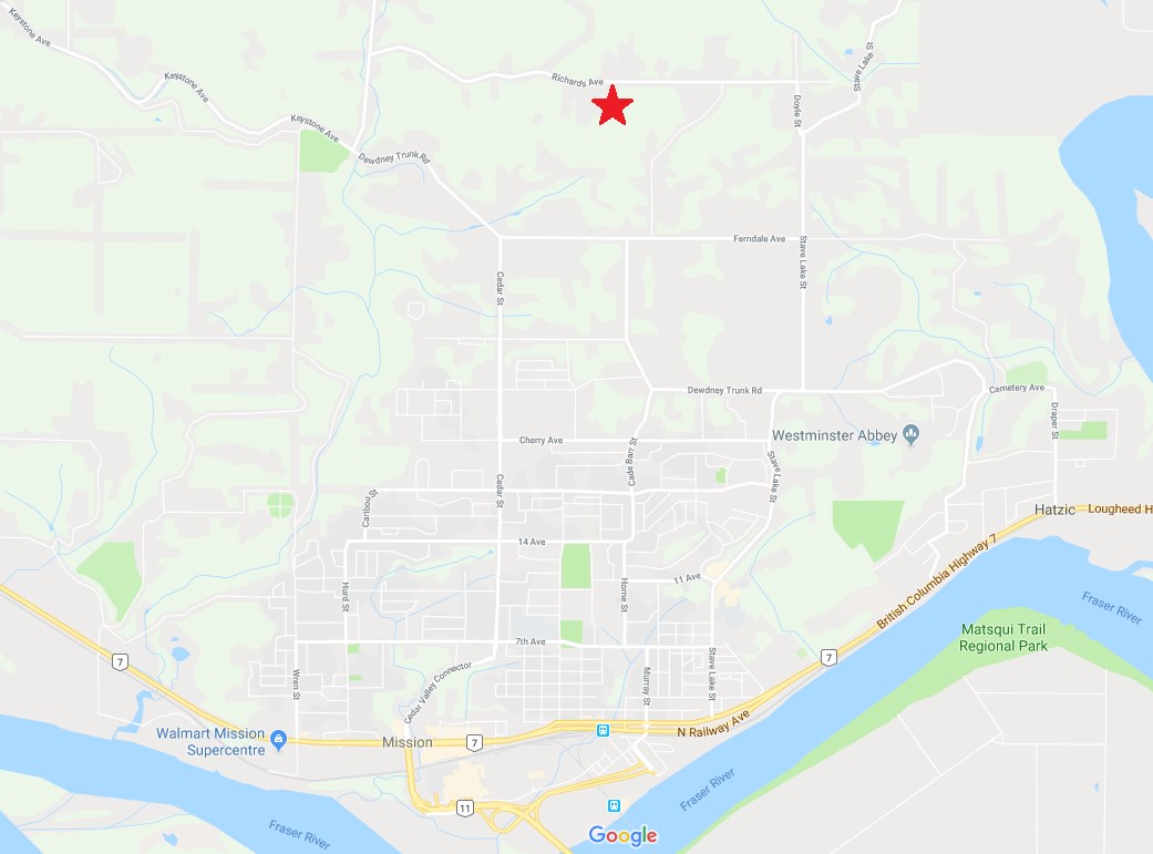  LT.7 Richards Avenue, Mission, BC R2422887 Curt Derksen, Personal
