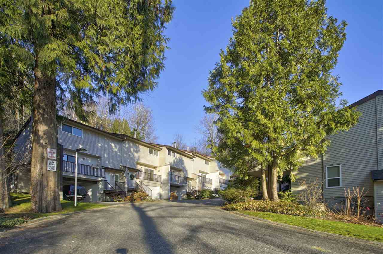 R2441155