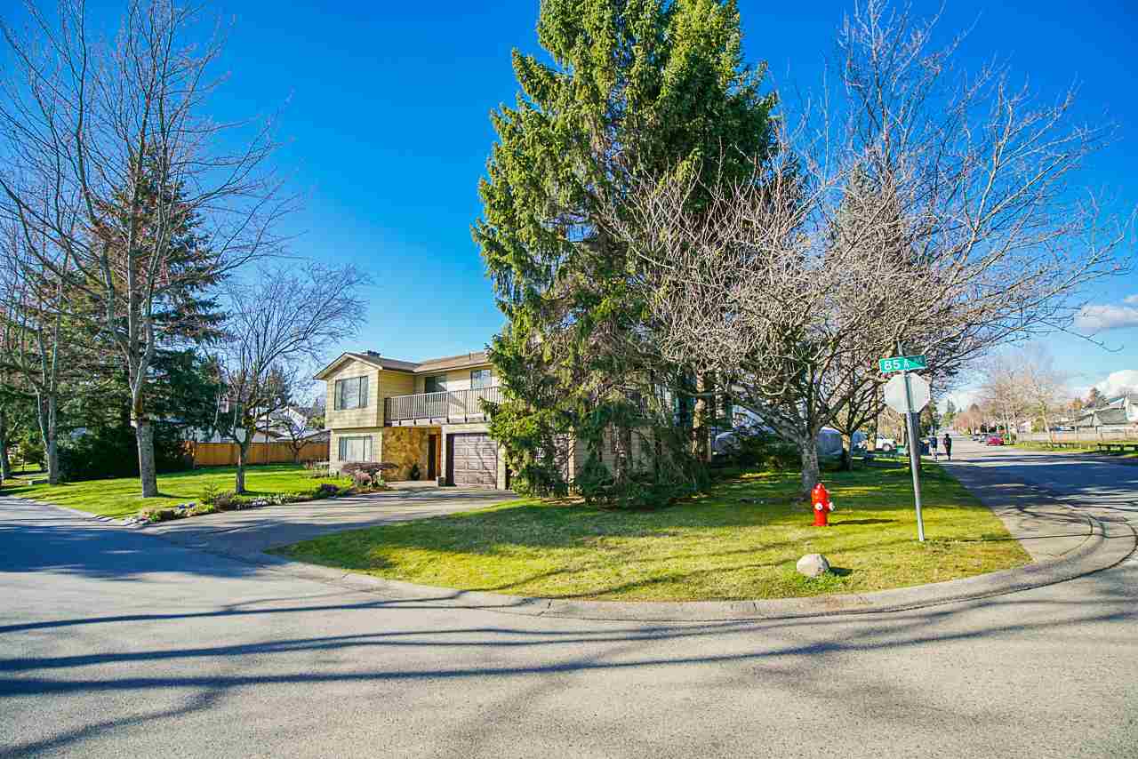 14591 85A Avenue, Surrey, BC, V3S 5T5 » R2455702 » Stephan Zandbergen