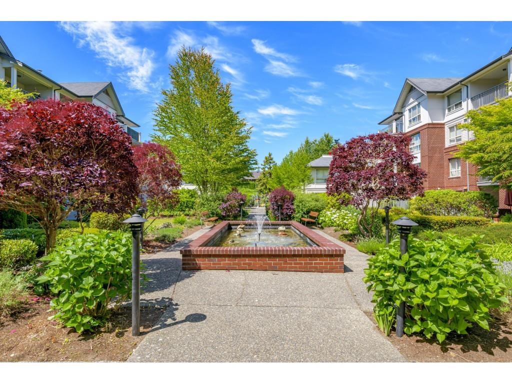 Condos for Sale in Sunnyside Park Surrey Buchanan