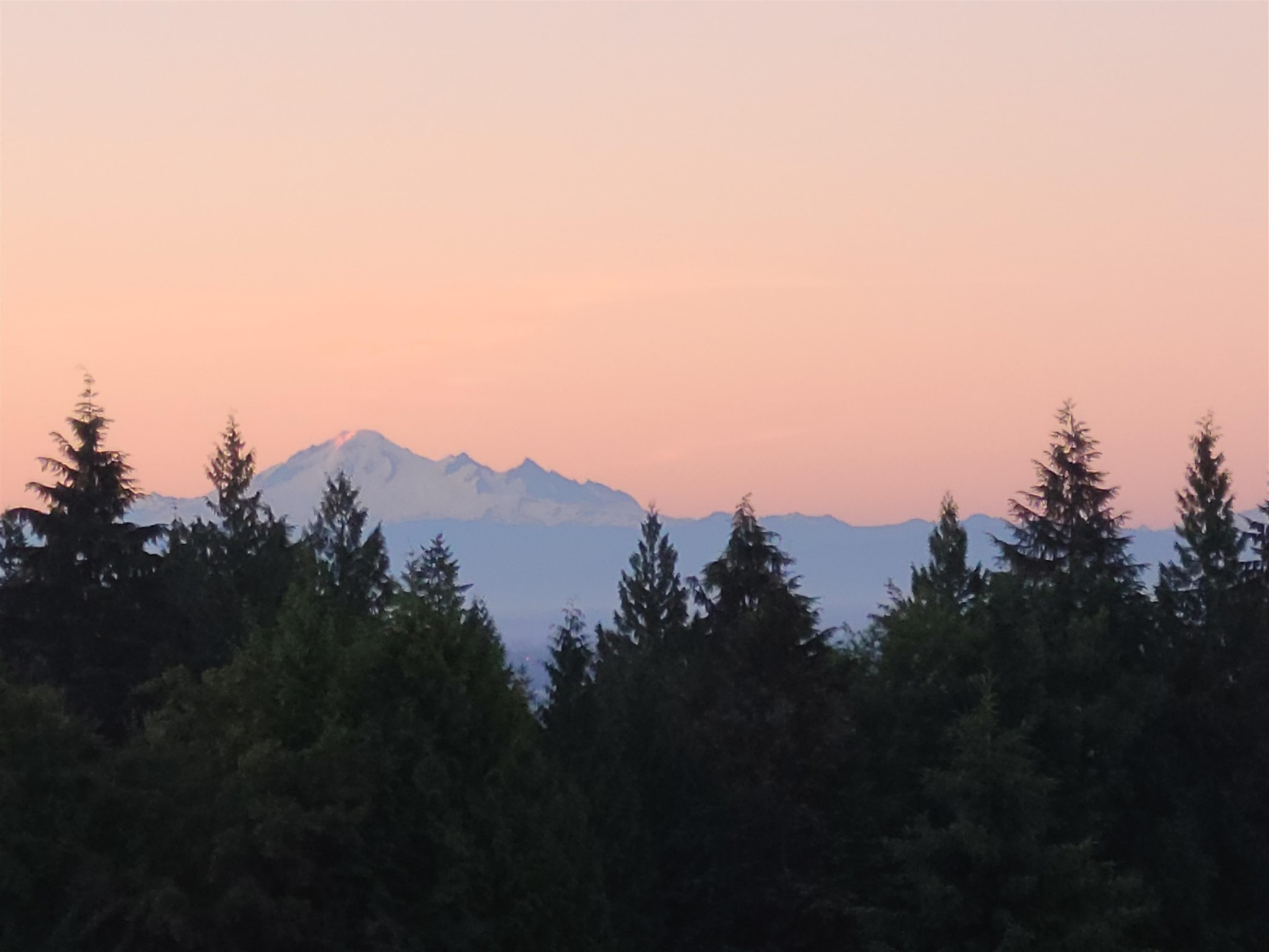 1486 Lansdowne Drive, Coquitlam, BC, V3E 2S8 R2595796 The New West Guys