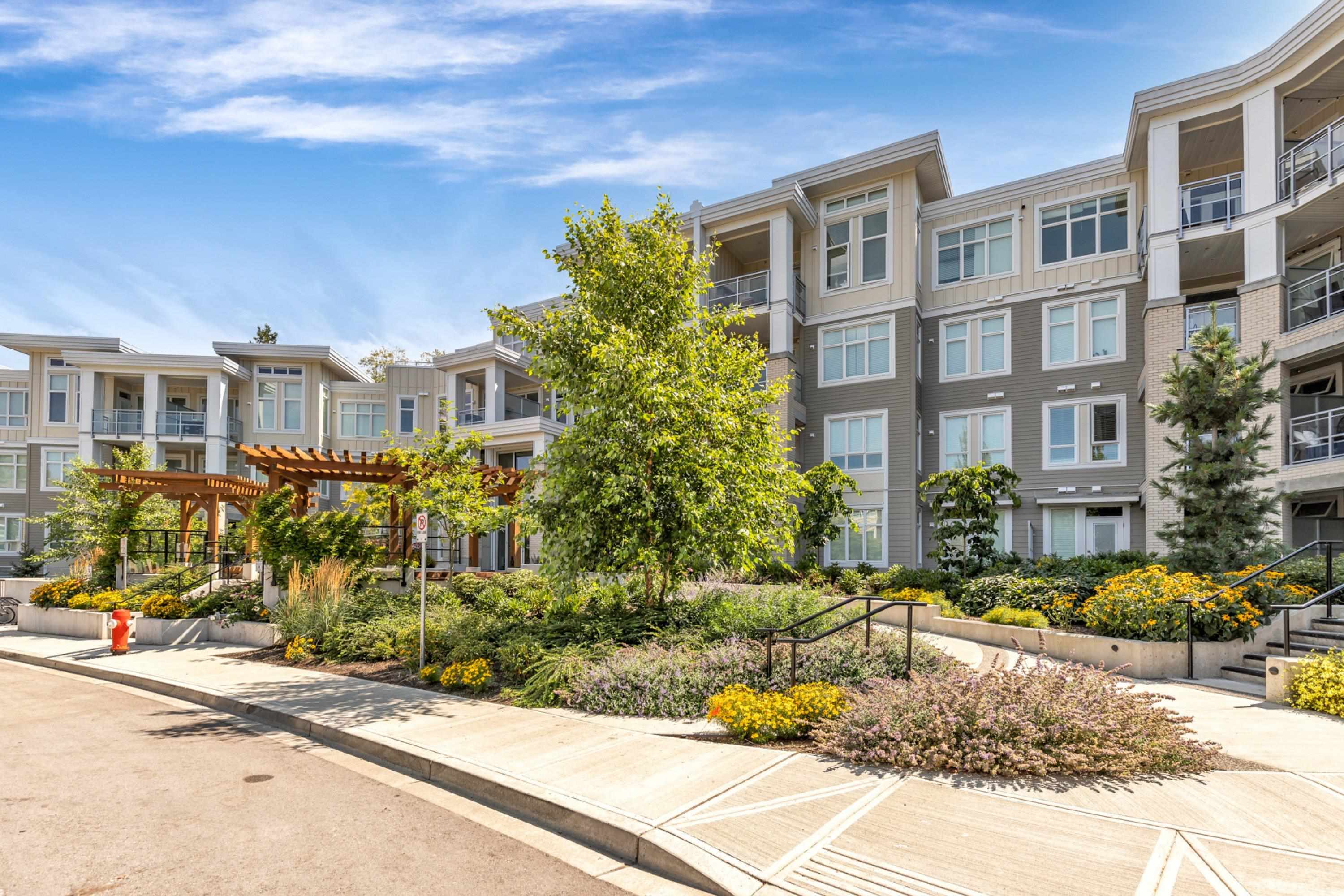 Condos for Sale in Grandview Surrey Buchanan