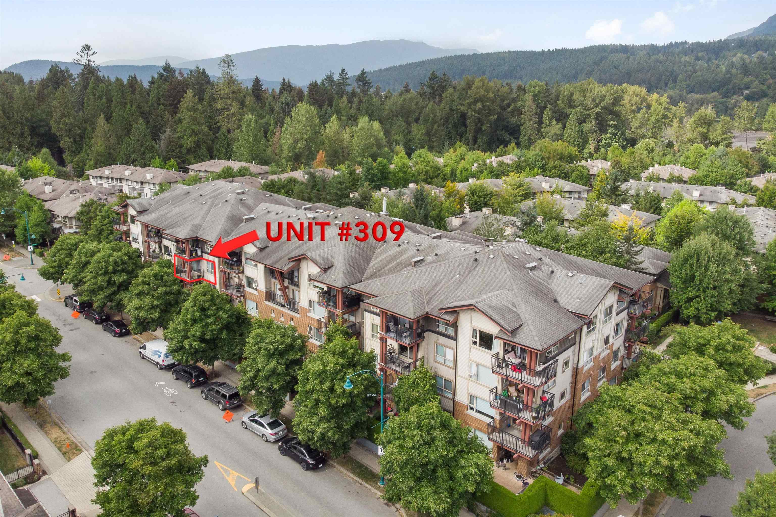 309 200 Klahanie Drive, Port Moody, BC, V3H 5K7 R2611277 Zare