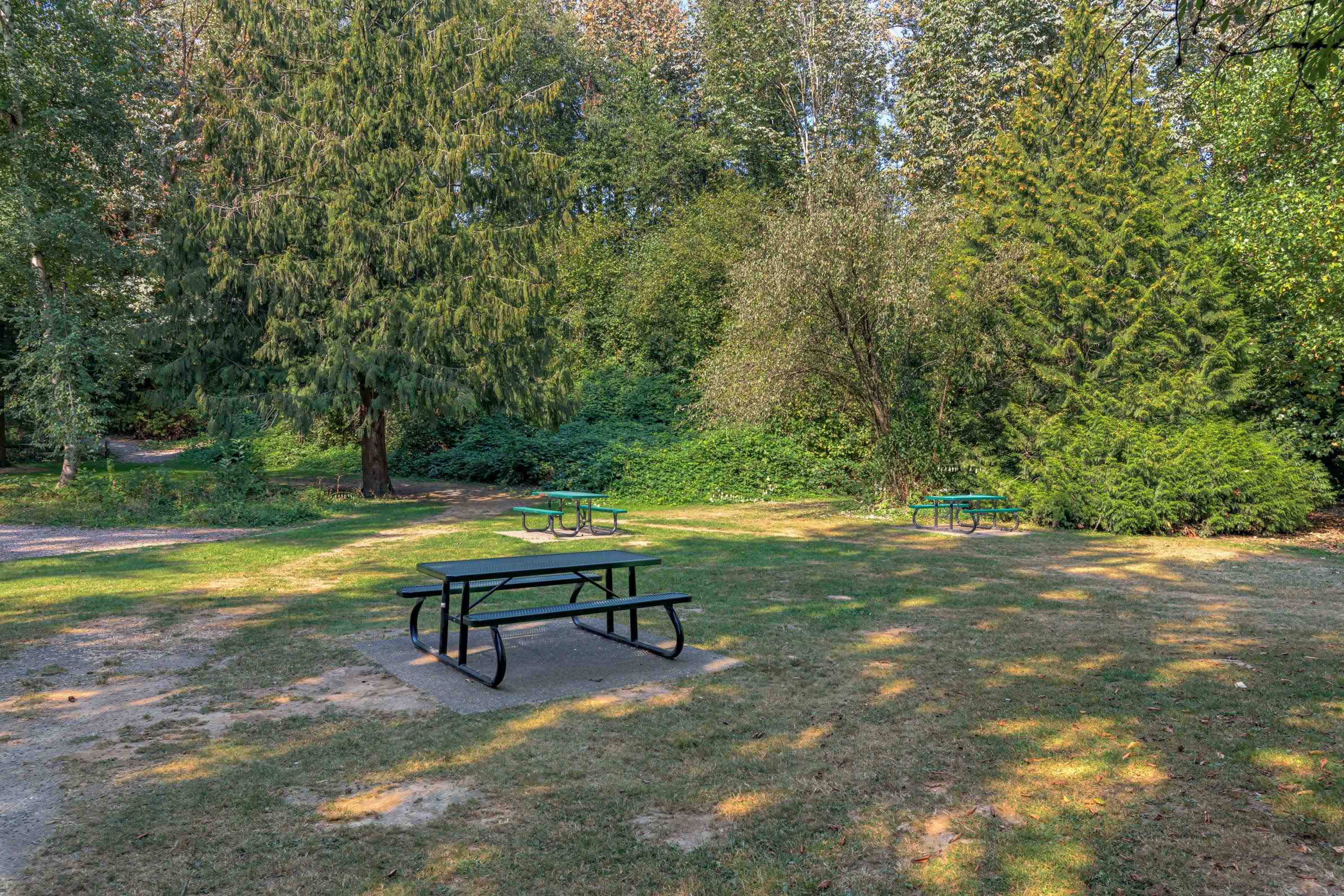 31129 Gardner Avenue, Abbotsford, BC, V2T 5E1 R2722235 Angela