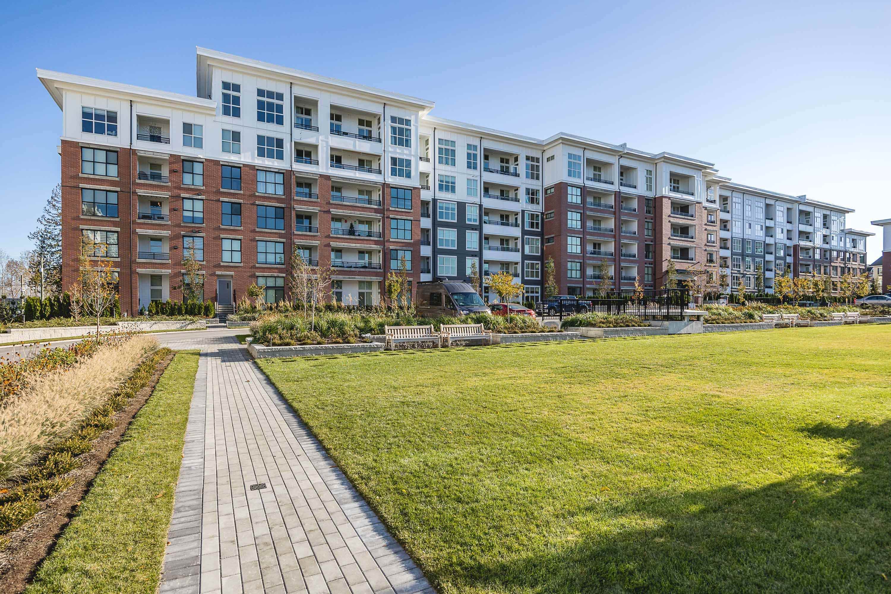 What is so special about Langley? Beyond The Box Office