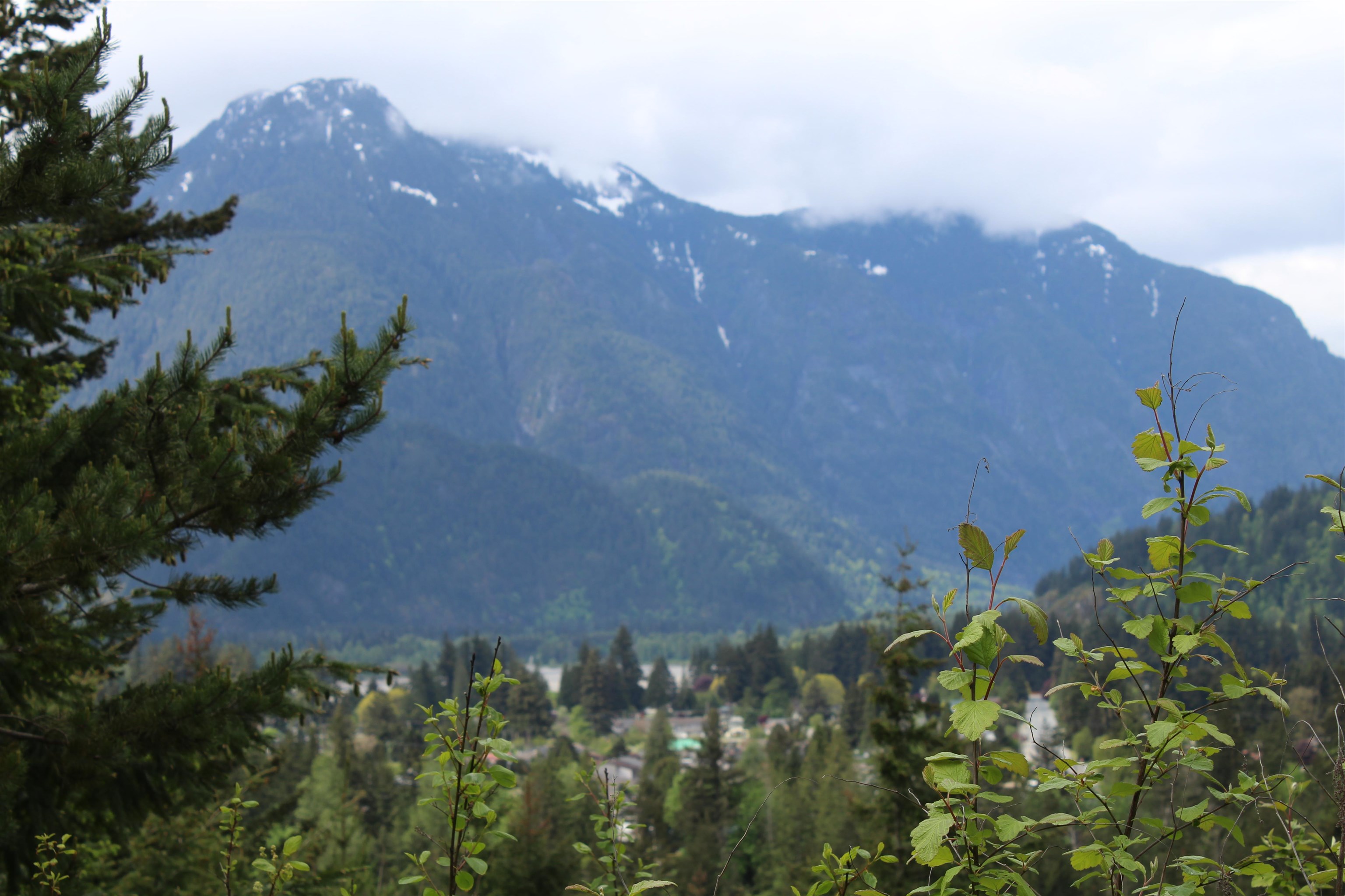 21647 Thacker Mtn Road, Hope, BC, V0X 1L1 R2778303 Diane Lothian