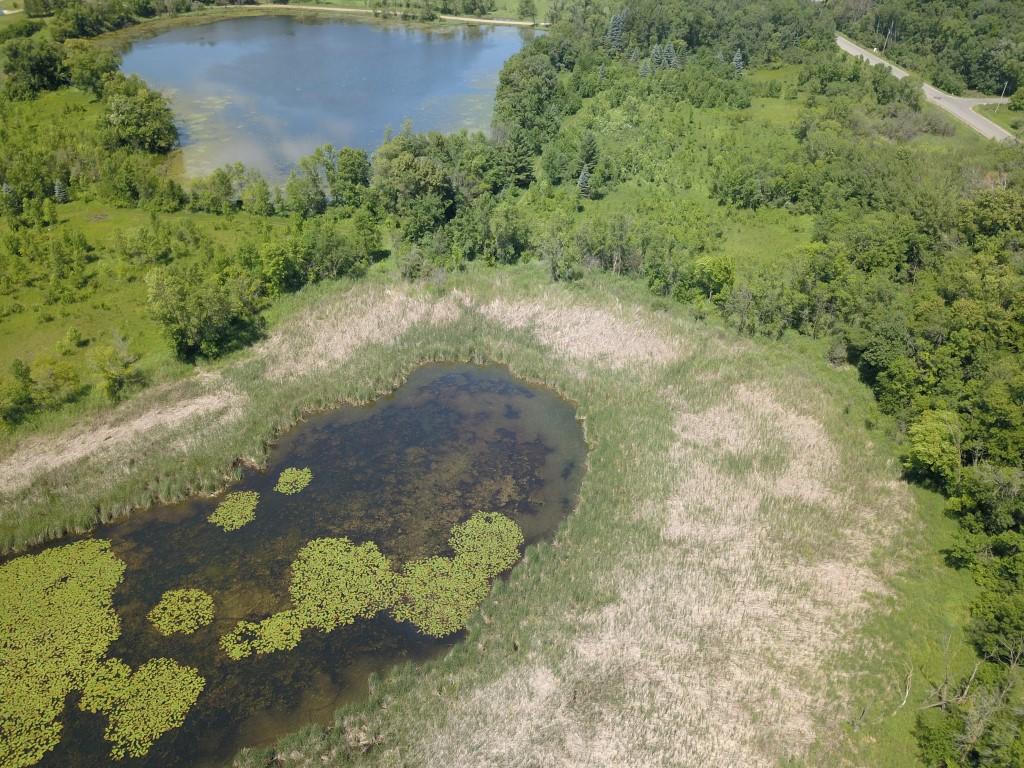 XXX Lake Ida Way NW, Alexandria, MN, 56308 5261806 Fatima Holm