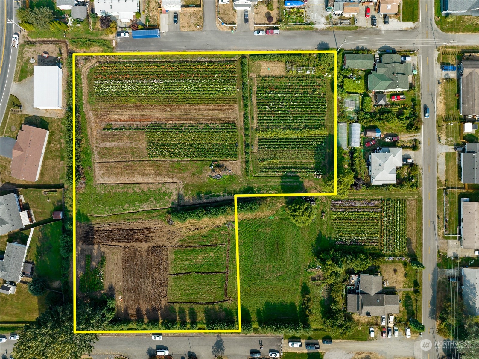 Porterhouse Property Group PNW's Premier Real Estate Team