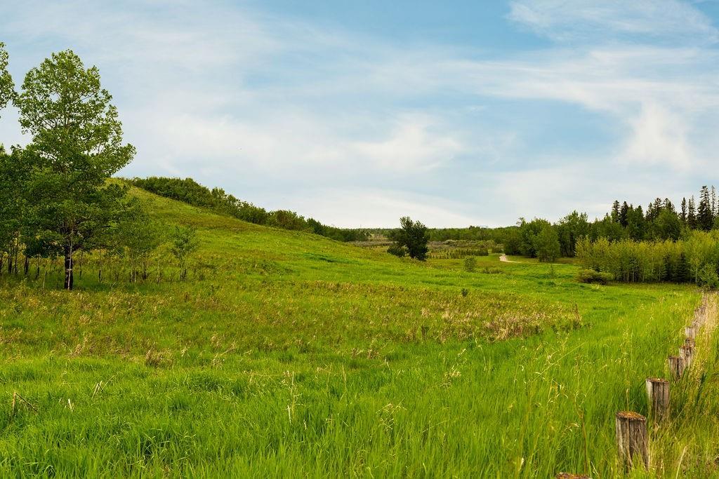 31 Canova Road SW, Calgary, AB, T2W 4B3 C4301971 Smith Pezzente