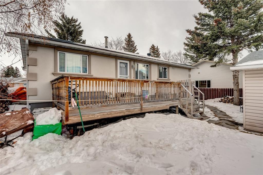 312 Temple Close NE, Calgary, AB, T1Y 3B6 C4232763 Jablonski Real