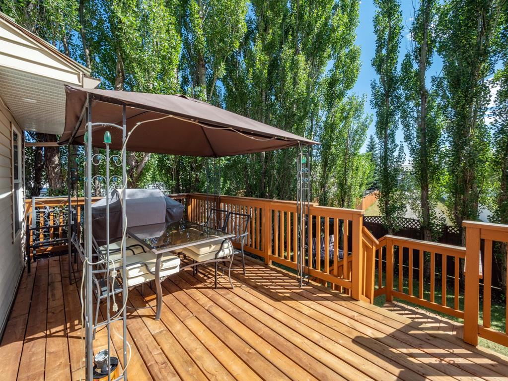 13 Strathmore Lakes Crescent, Strathmore, AB, T1P 1L7 A1022574