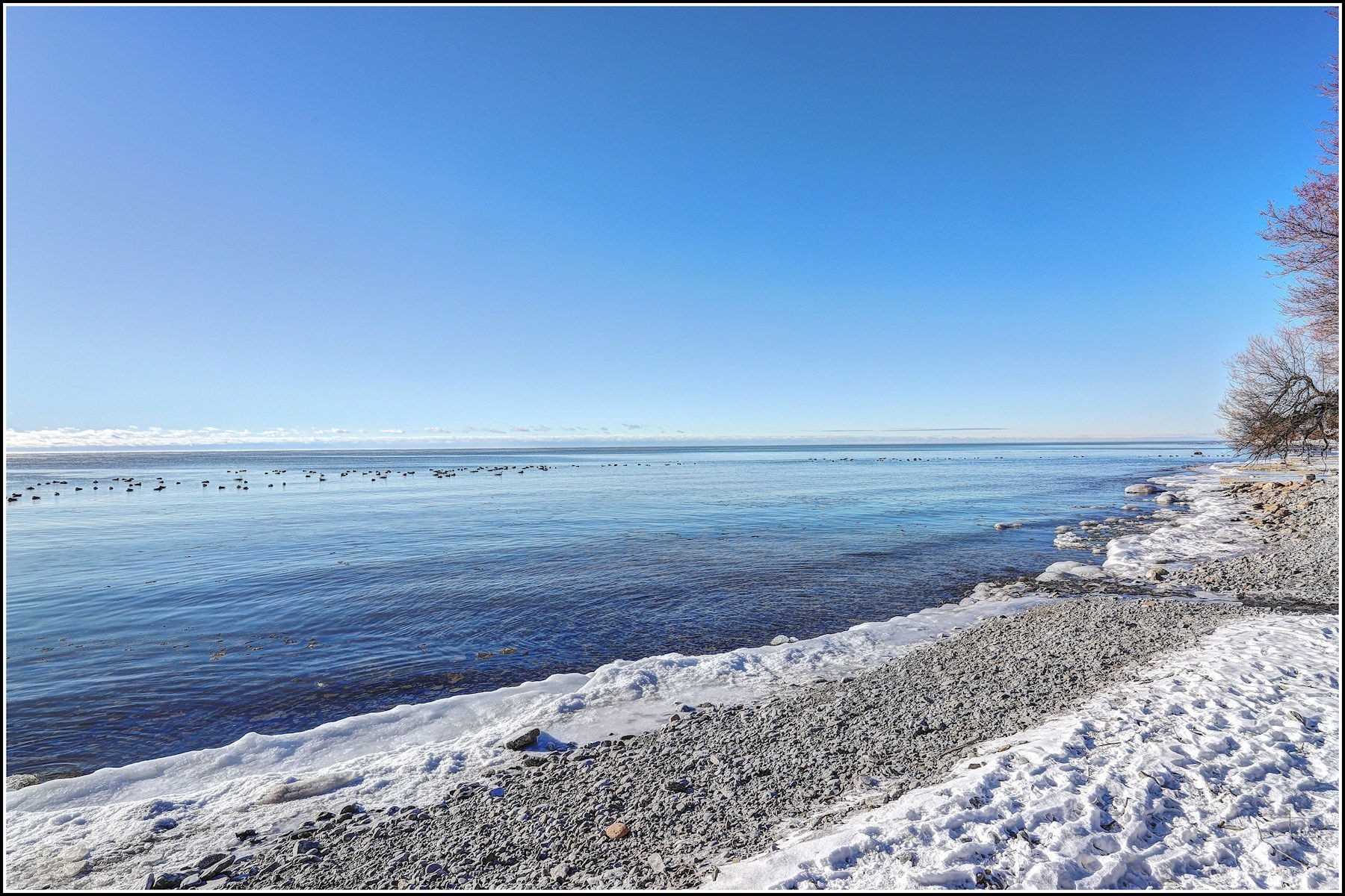 403 Lakeshore Drive, Cobourg, ON, K9A 1S2 X5104537 Historic and