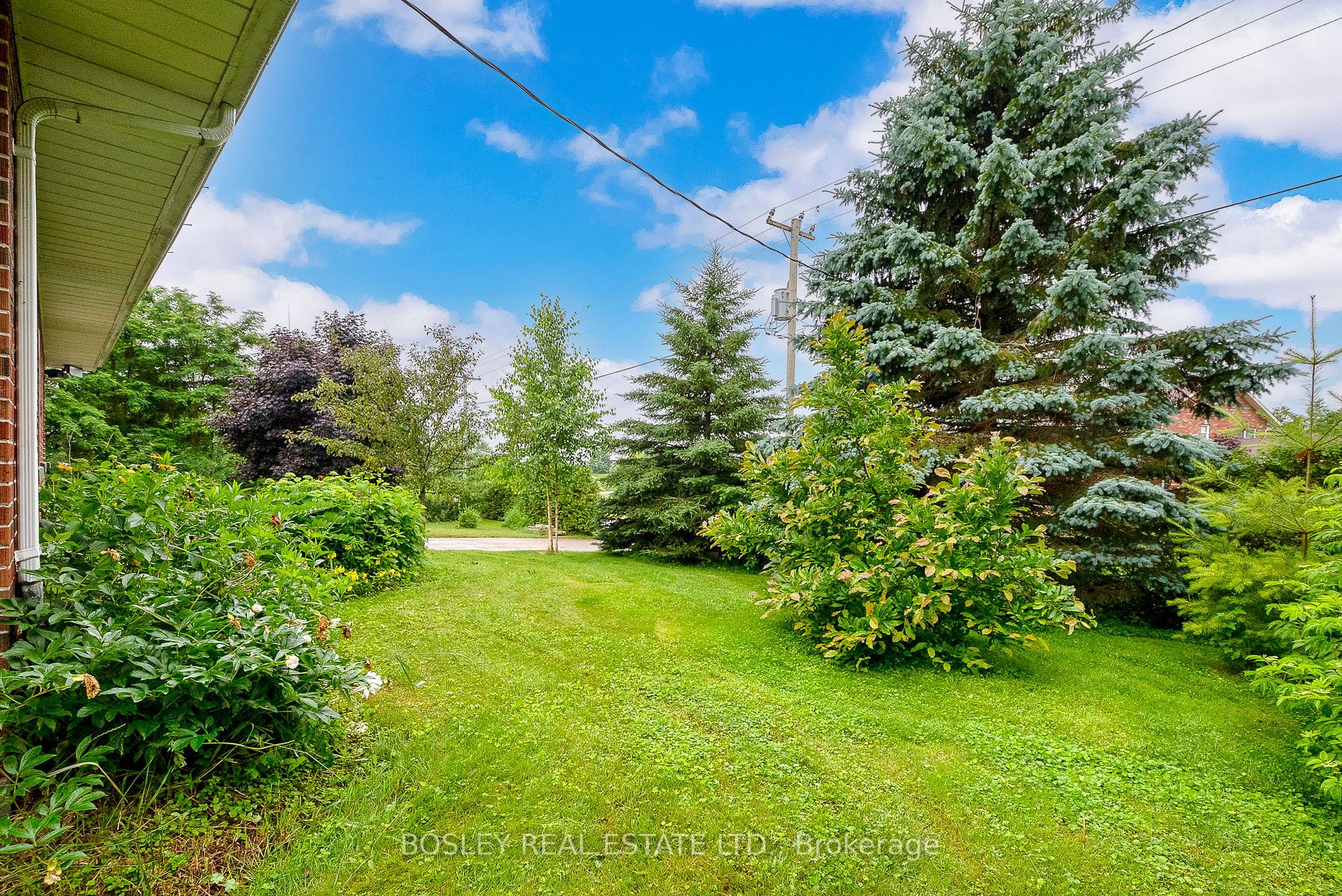 3989 Mcintosh Road, Hamilton Township, ON, K9A 4J9 X6802708 Tina