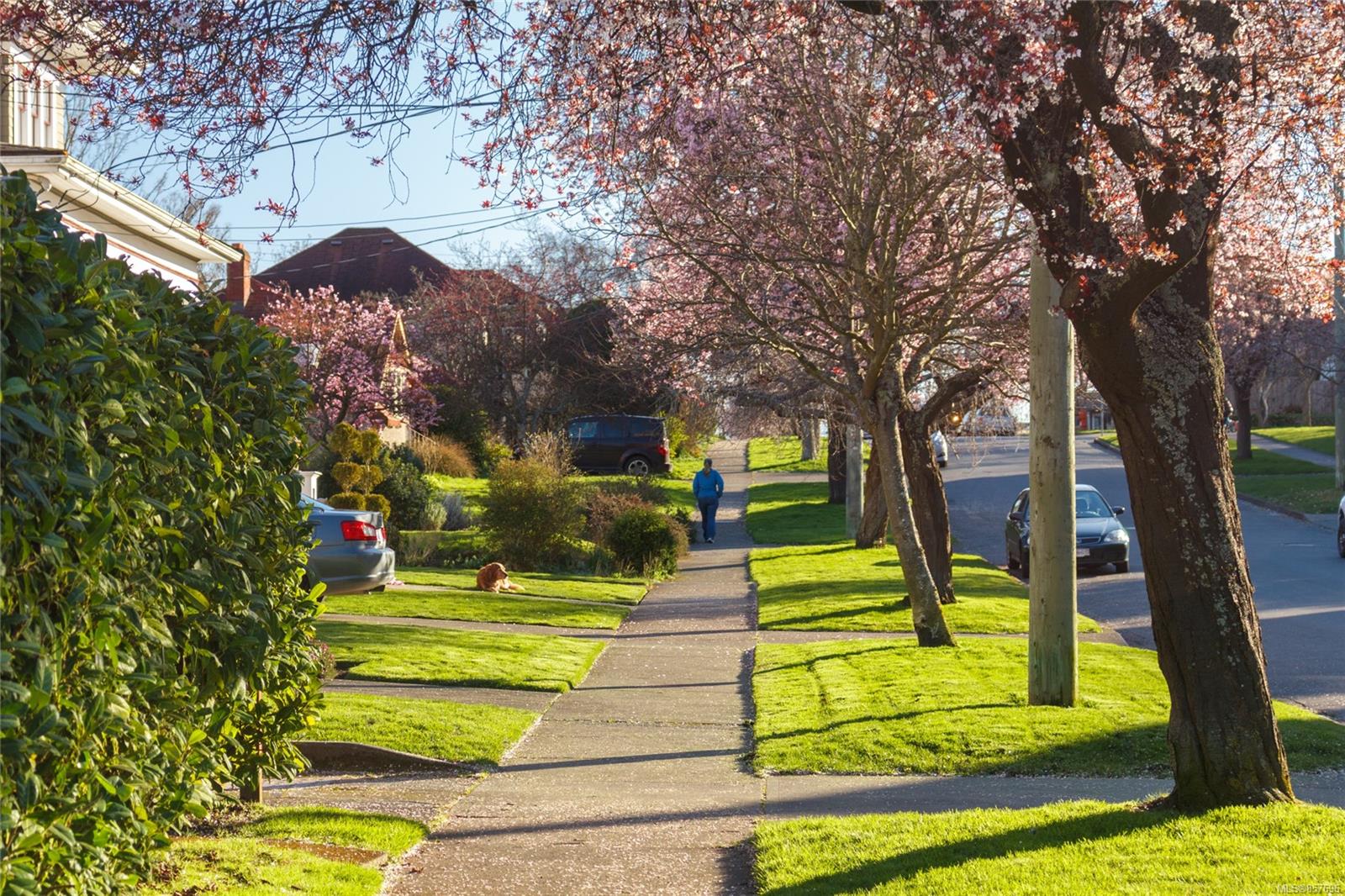 124 Linden Avenue, Victoria, BC, V8V 4E1 857696 The House Selling Group