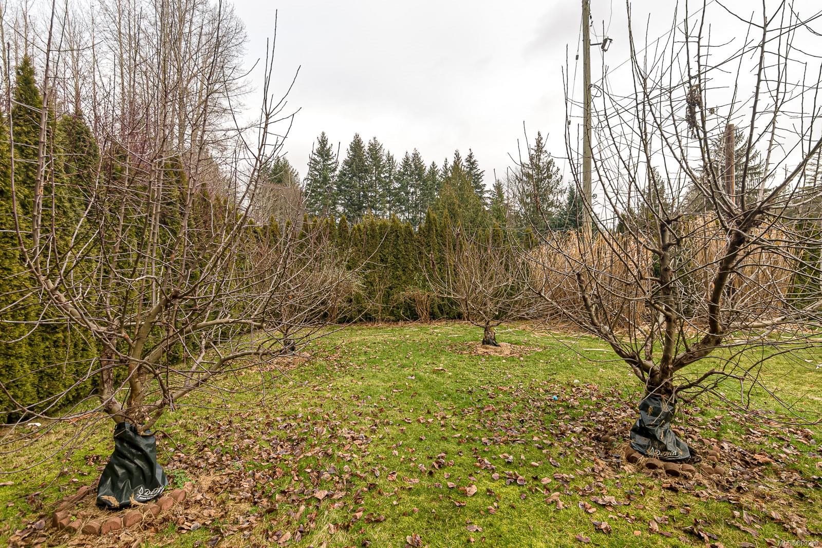 4401 Marsden Road, Courtenay, BC, V9N 5M8 863298 Real Estate By Richelle