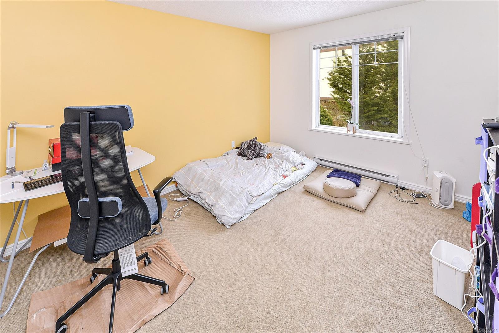 1262 Walnut Street, Victoria, BC, V8T 1N6 866916 Miles Takacs