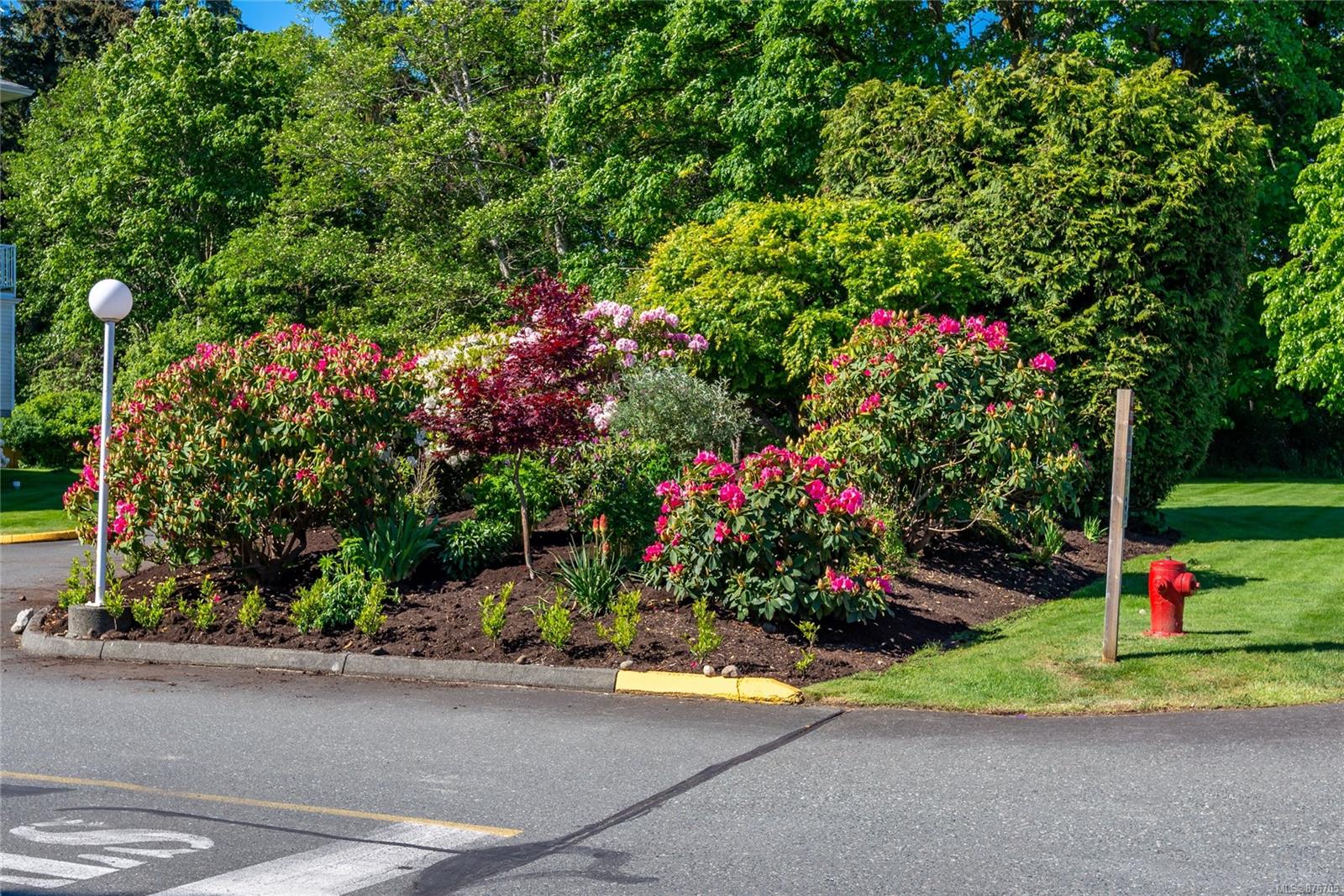 310 155 Erickson Rd, Campbell River, BC, CA 876705 Ty Collyer Real