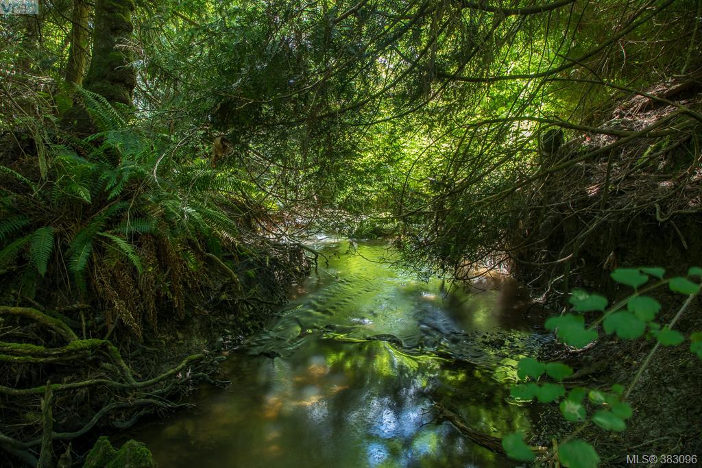 5625 Parker Avenue, Victoria, BC 383096 1224 Richardson