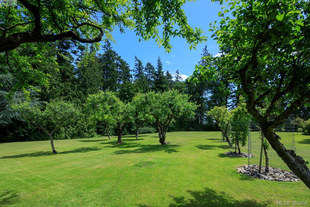 5625 Parker Avenue, Victoria, BC 383096 Broker Harry Newton