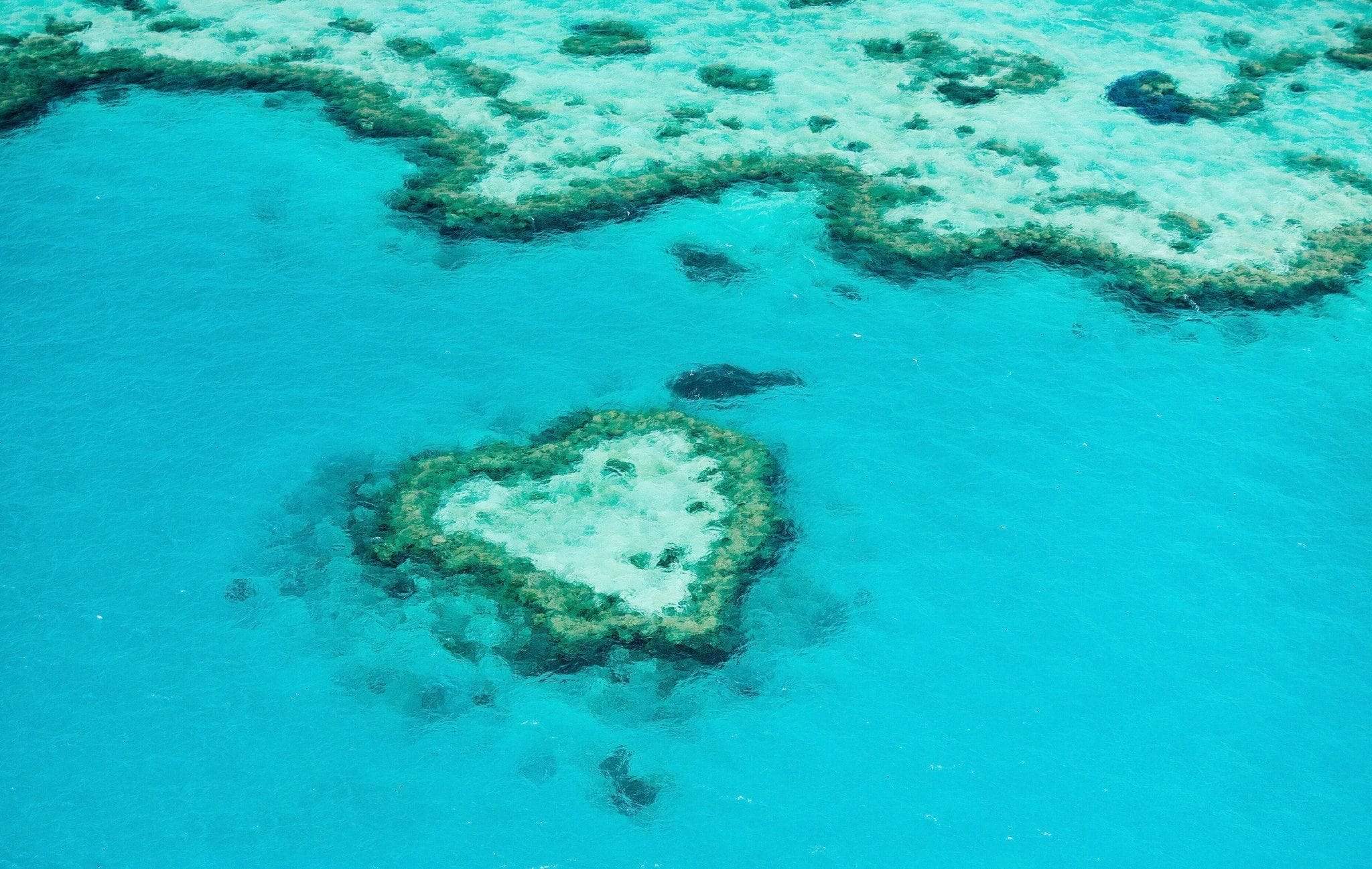 Heart Reef The Iconic Spot In Great Barrier Reef Is Now Open After 45 Years Off Limits Asia Vacation Group Au