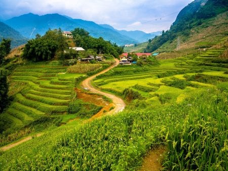 included in tours offered by Asia Vacation Group