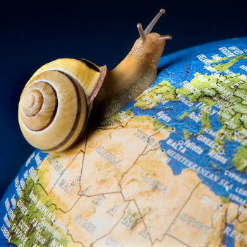 AARP-Travel-Slowly | AardvarkCompare.com