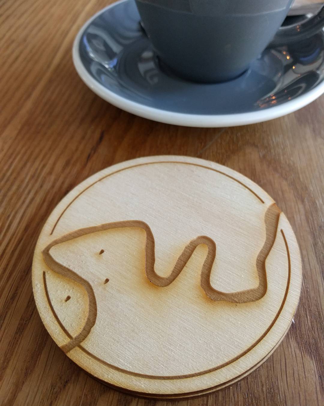 Custom Brisbane River laser cut coasters r/brisbane