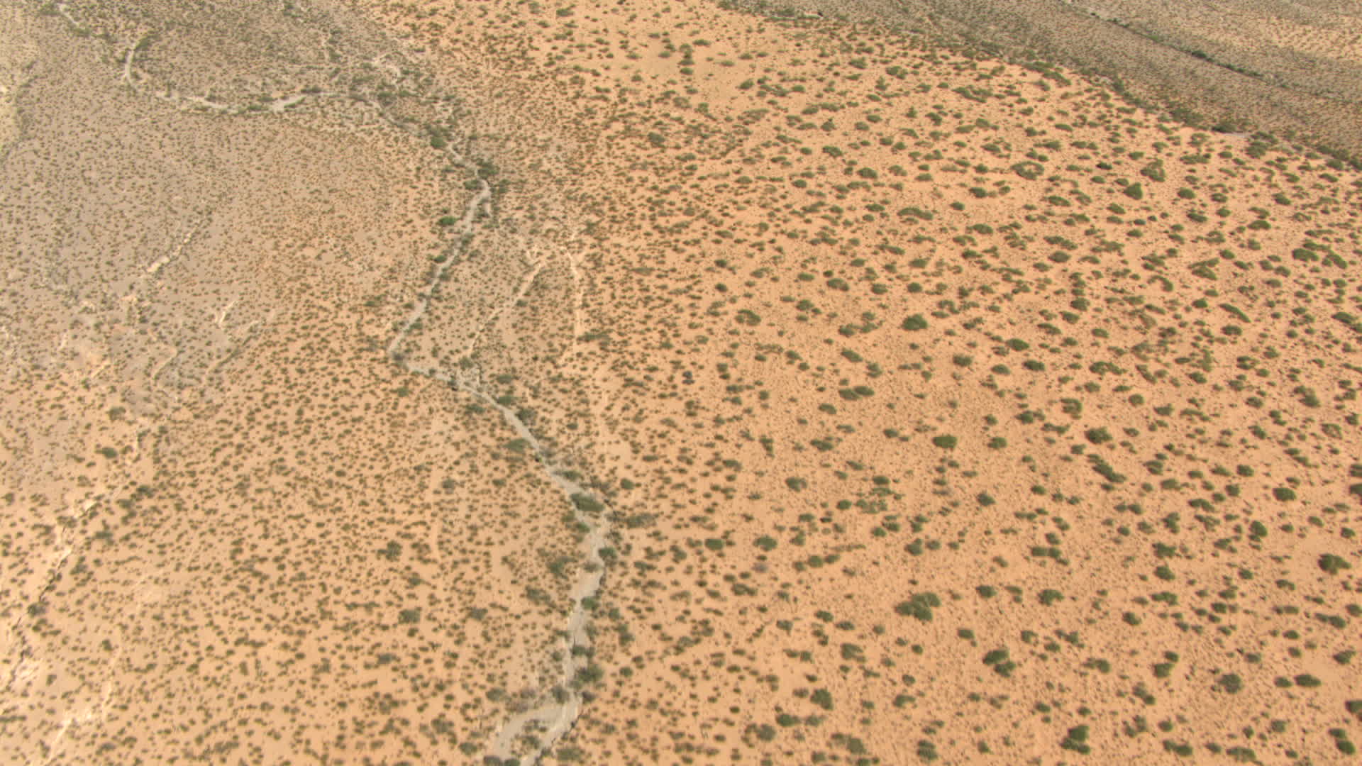 пейзаж пустыни. вади-эль-араба. Desertificarea. сбор воды в пустыне.