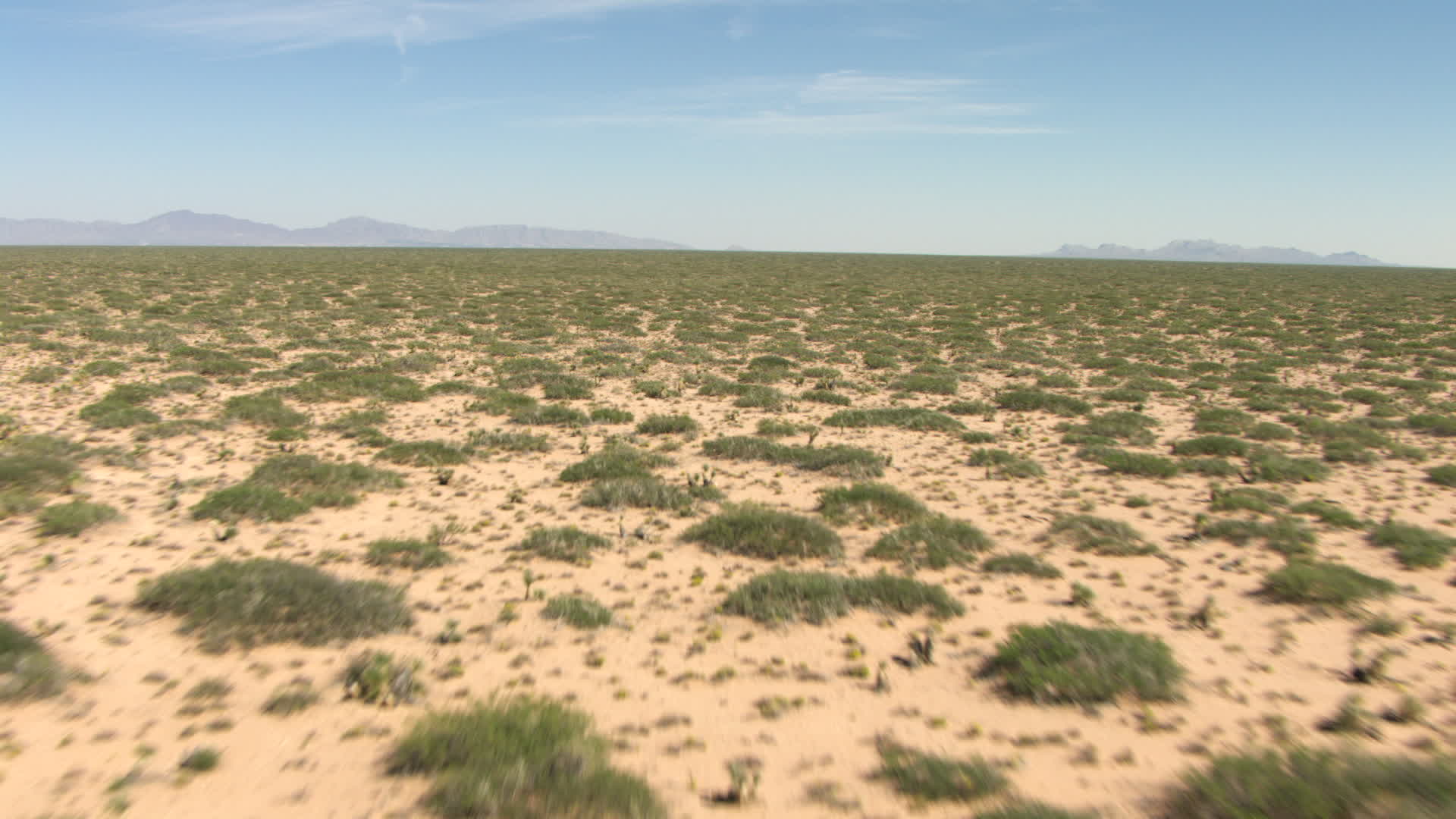 HD stock footage aerial video of desert plants in a wide, arid plain in