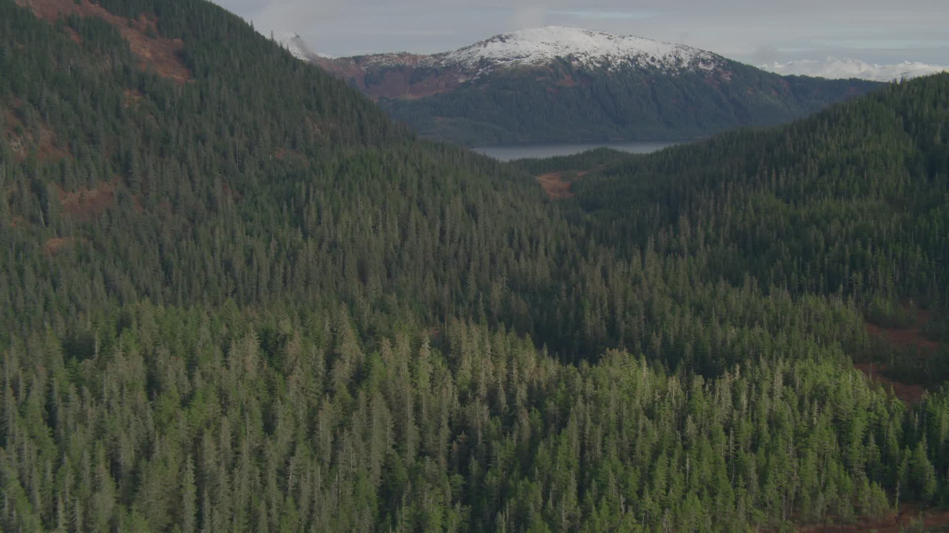 4K stock footage aerial video approaching Esther Lake, from over tree