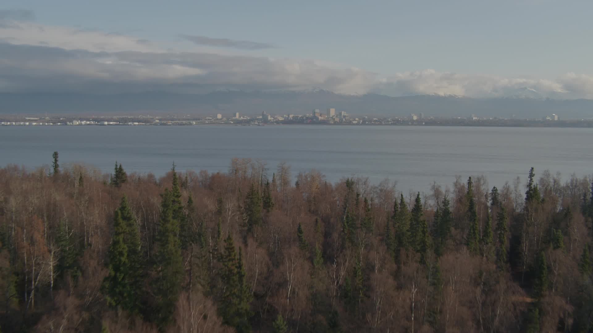 4K stock footage aerial video fly low over grassland, trees reveal