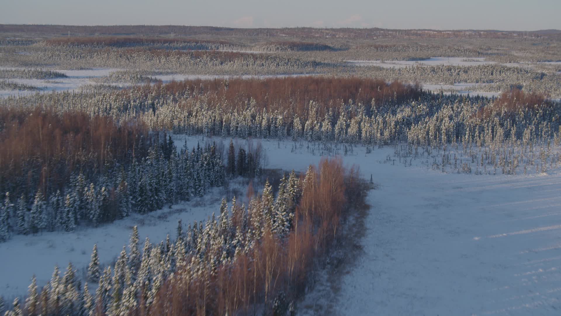 4K stock footage aerial video flying over snowy clearings and forest in