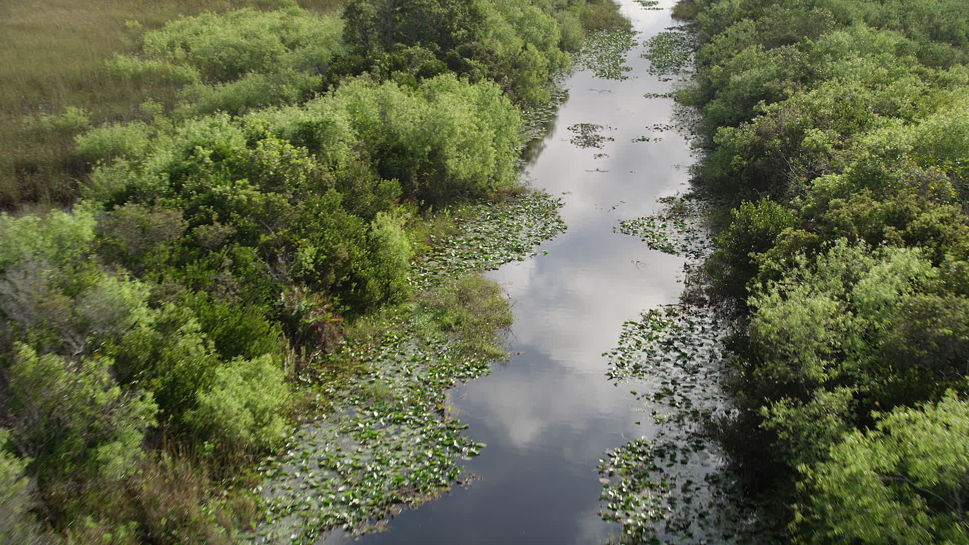 5K stock footage aerial video of following river through everglades, Florida Everglades, Florida