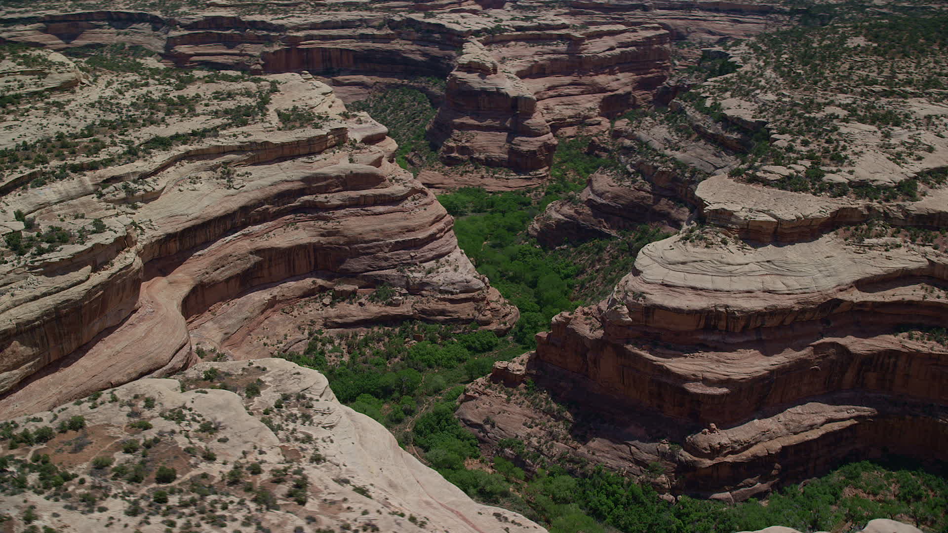 5.5K stock footage aerial video of circling Grand Gulch and canyon