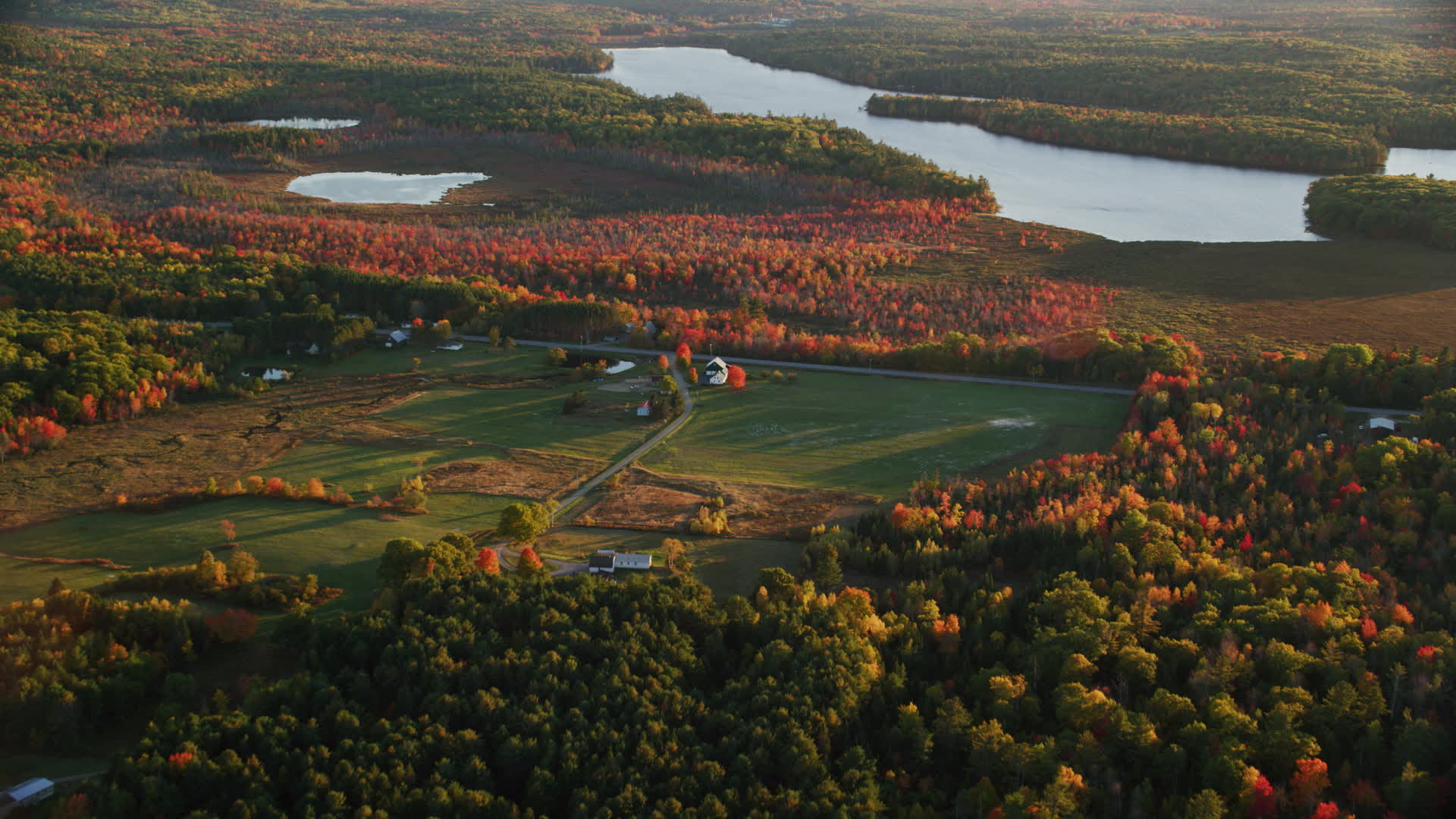 5.5K stock footage aerial video flying by a colorful forest in autumn
