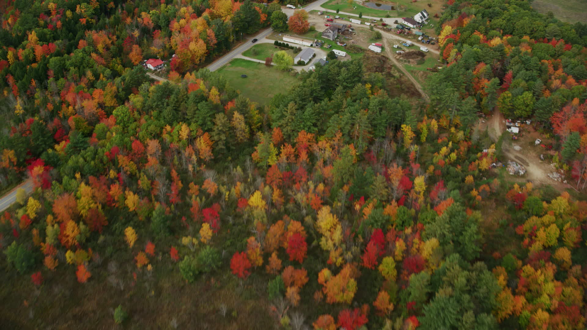 5.5K stock footage aerial video of a bird's eye view over colorful trees, reveal river, Bog Road