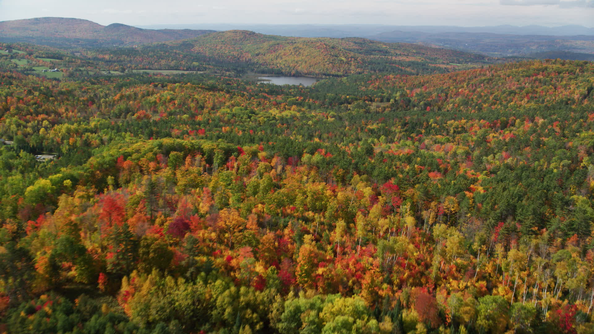 5.5K stock footage aerial video flying over colorful forest