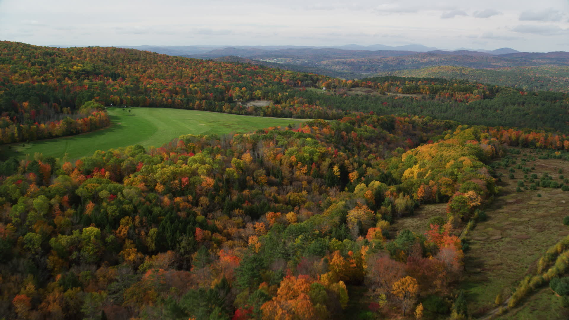 6K stock footage aerial video flying over colorful forest, approach