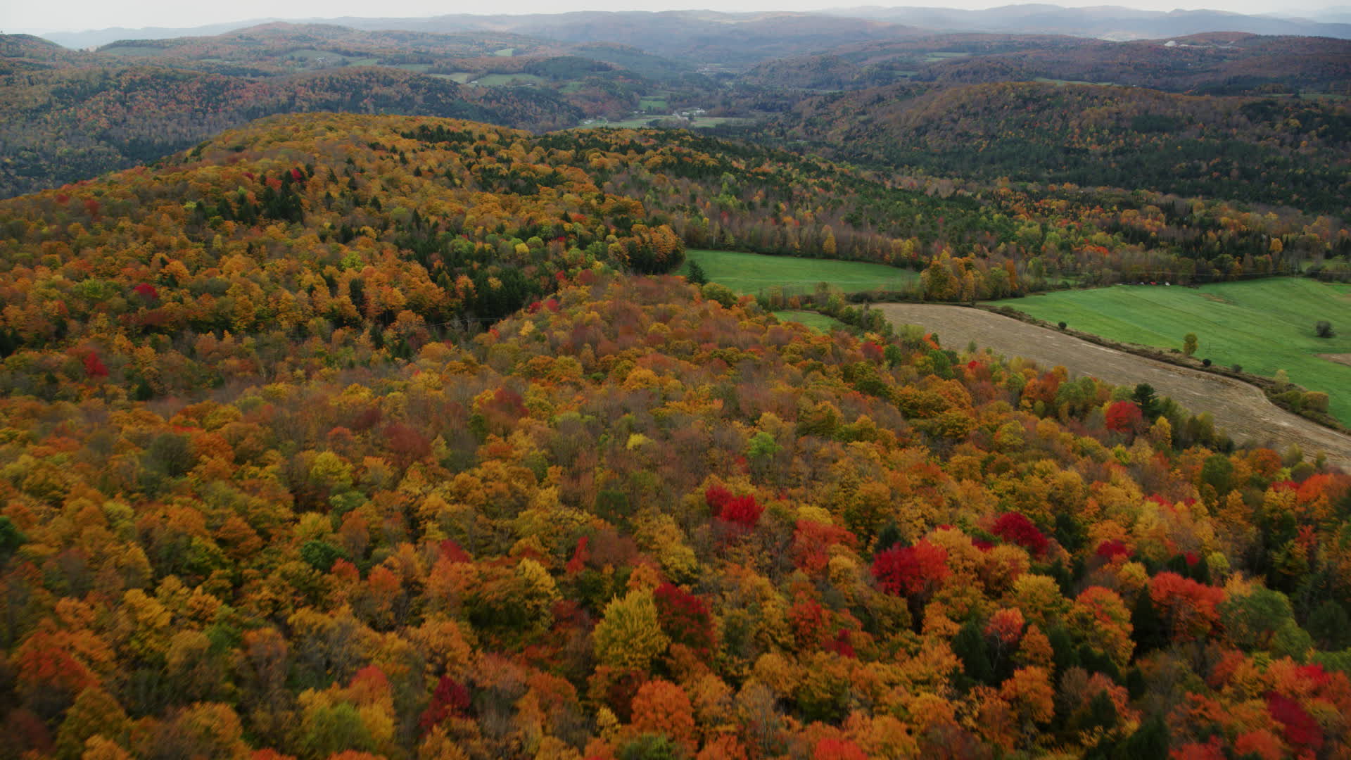 5.5K stock footage aerial video flying over colorful forest, farmland