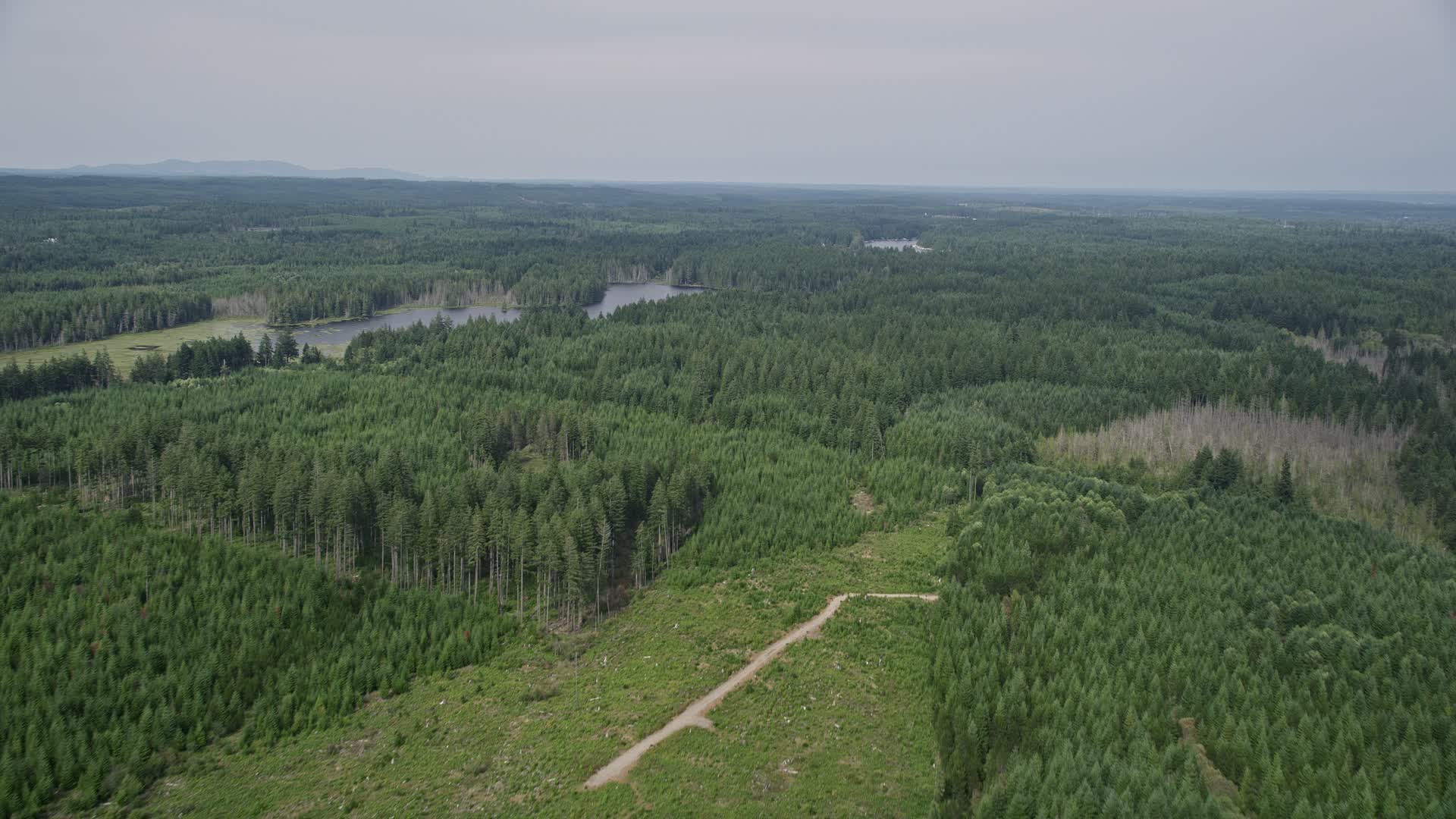 Mason County, Washington Aerial Stock Footage 38 Videos Axiom Images