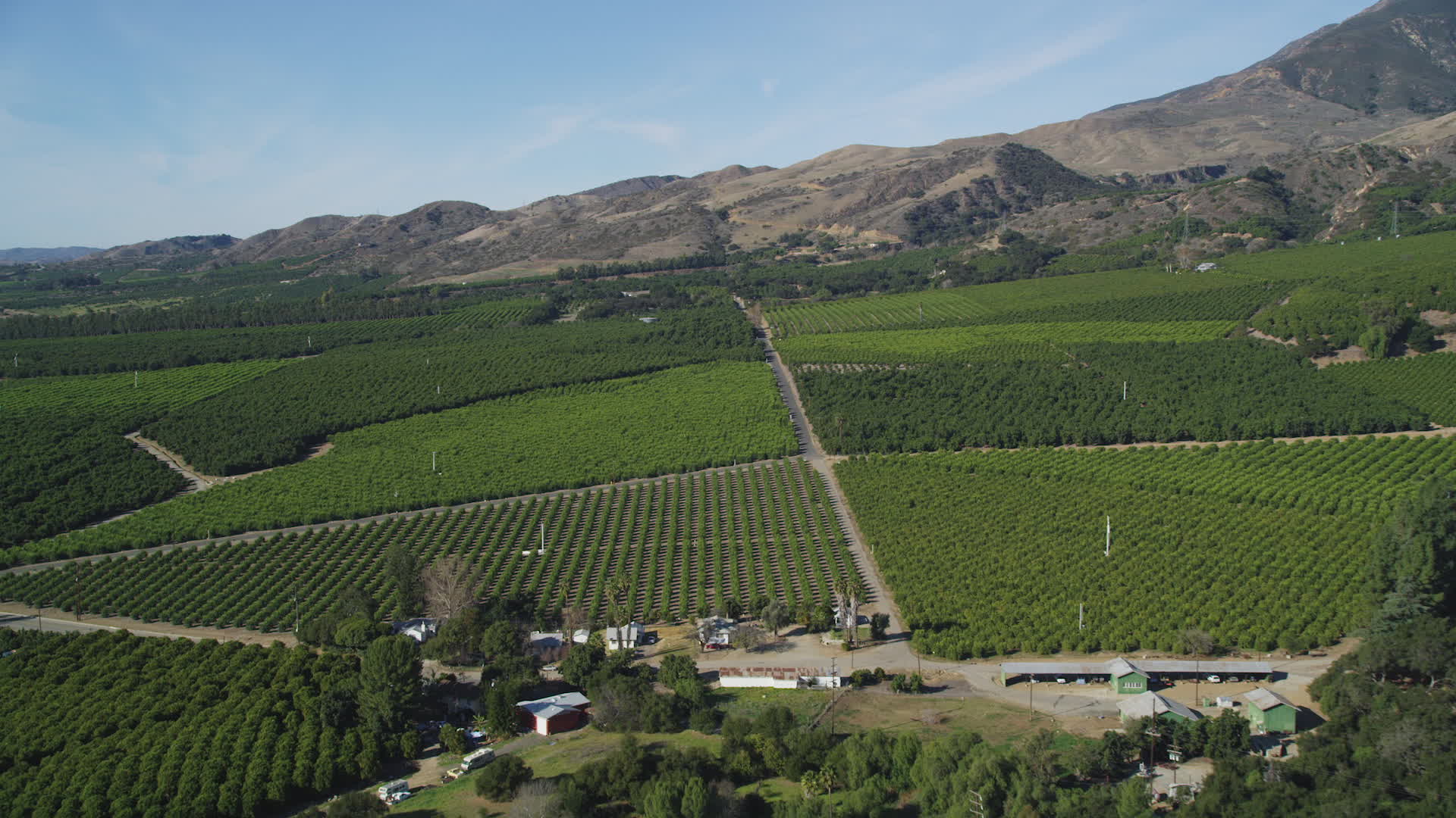 5K stock footage aerial video of approaching fields of farm orchards