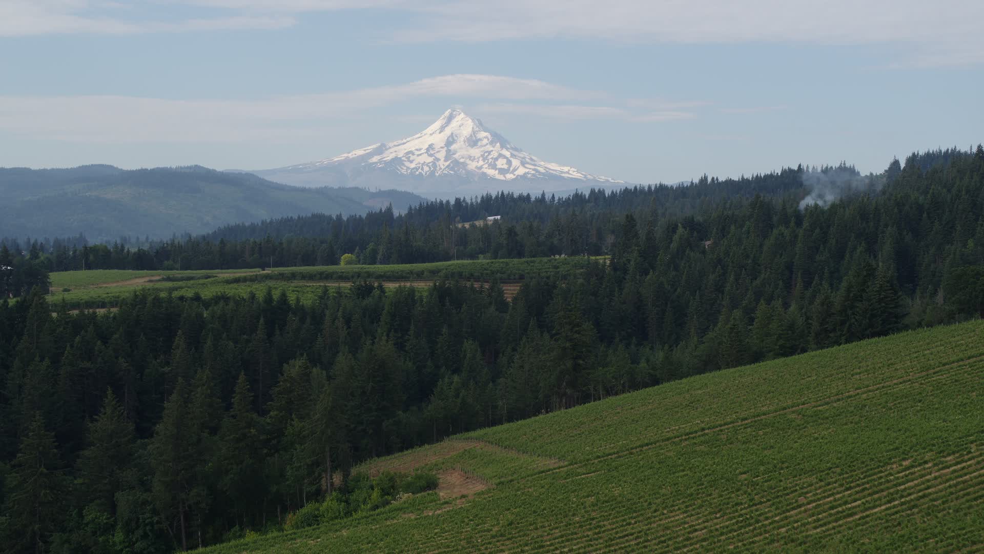 5.7K stock footage aerial video descend toward vineyards and Mt Hood