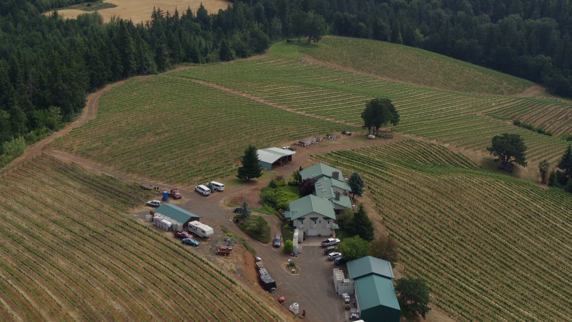 5.7K stock footage aerial video approach and fly over the Phelps Creek Vineyards in Hood River